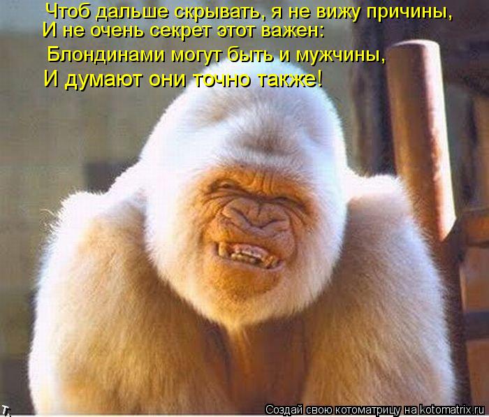 Чтоб дальше скрывать, я не вижу причины, И не очень секрет этот важен: И думают они точно также! Блон... Котоматрица: Чтоб дальше скрывать, я не вижу причины, И не очень секрет этот важен: И думают они точно также! Блондинами могут быть и мужчины,