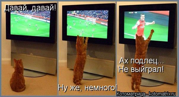 Давай, давай! Ну же, немного! Ах подлец... Не выйграл!... Котоматрица: Давай, давай! Ну же, немного! Ах подлец... Не выйграл!