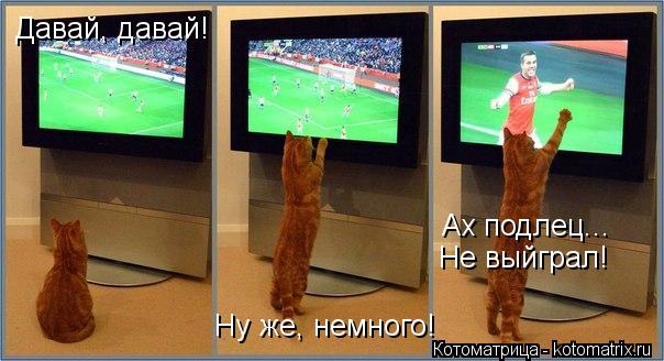 Котоматрица: Давай, давай! Ну же, немного! Ах подлец... Не выйграл!