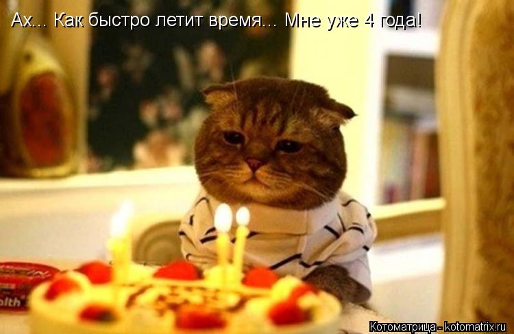 Ах... Как быстро летит время... Мне уже 4 года!... Котоматрица: Ах... Как быстро летит время... Мне уже 4 года!
