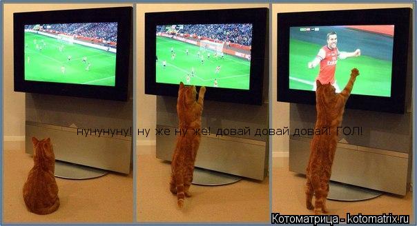 нунунуну! ну же ну же! довай довай довай! ГОЛ!... Котоматрица: нунунуну! ну же ну же! довай довай довай! ГОЛ!