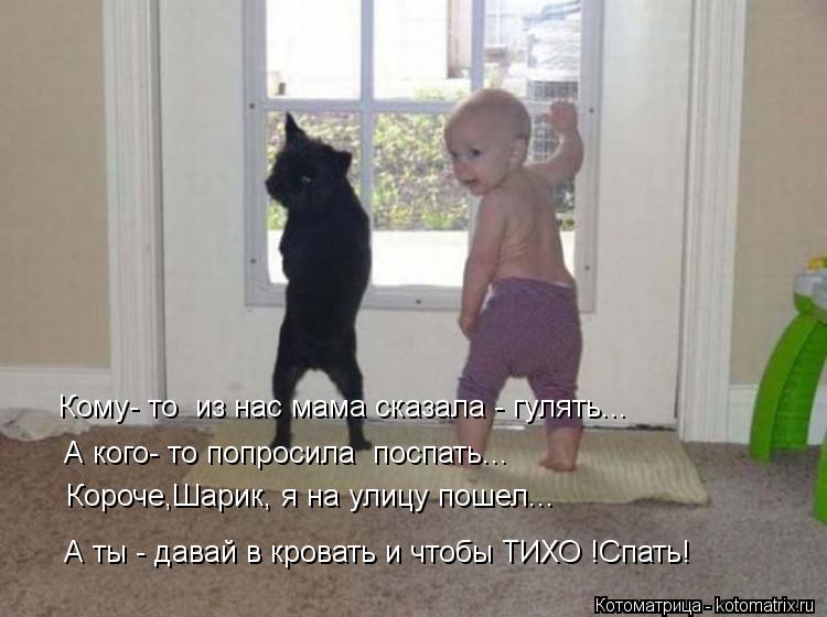 Кому- то из нас мама сказала - гулять... А кого- то попросила поспать... Короче,Шарик, я на улицу п... Котоматрица: Кому- то из нас мама сказала - гулять... А кого- то попросила поспать... Короче,Шарик, я на улицу пошел... А ты - давай в кровать и чтобы ТИХО !Спат