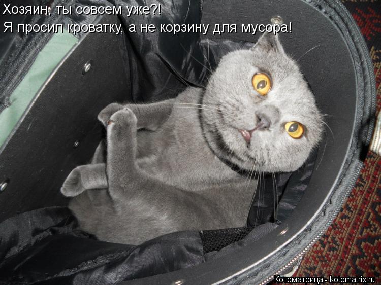 Хозяин, ты совсем уже?! Я просил кроватку, а не корзину для мусора!... Котоматрица: Хозяин, ты совсем уже?! Я просил кроватку, а не корзину для мусора!