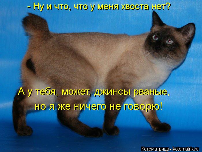 - Ну и что, что у меня хвоста нет? А у тебя, может, джинсы рваные, но я же ничего не говорю!... Котоматрица: - Ну и что, что у меня хвоста нет? А у тебя, может, джинсы рваные, но я же ничего не говорю!