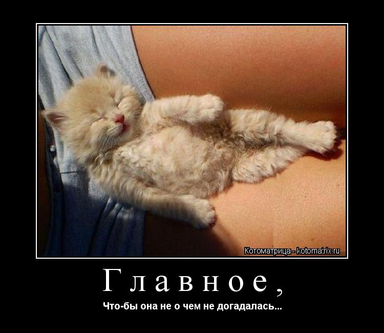 Главное, Что-бы она не о чем не догадалась...... Котоматрица: Главное, Что-бы она не о чем не догадалась...
