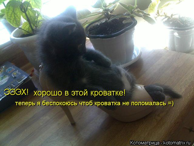 ЭЭЭХ! хорошо в этой кроватке! теперь я беспокоюсь чтоб кроватка не поломалась =)... Котоматрица: ЭЭЭХ! хорошо в этой кроватке! теперь я беспокоюсь чтоб кроватка не поломалась =)