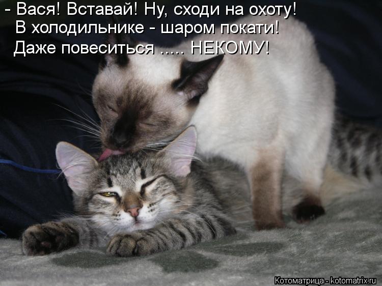 - Вася! Вставай! Ну, сходи на охоту! В холодильнике - шаром покати! Даже повеситься ..... НЕКОМУ!... Котоматрица: - Вася! Вставай! Ну, сходи на охоту! В холодильнике - шаром покати! Даже повеситься ..... НЕКОМУ!