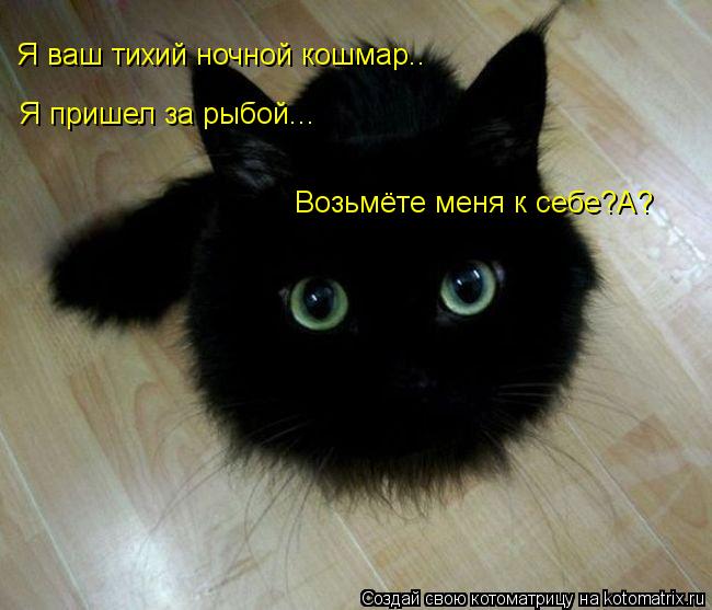 Я ваш тихий ночной кошмар.. Я пришел за рыбой... Возьмёте меня к себе?А?... Котоматрица: Я ваш тихий ночной кошмар.. Я пришел за рыбой... Возьмёте меня к себе?А?