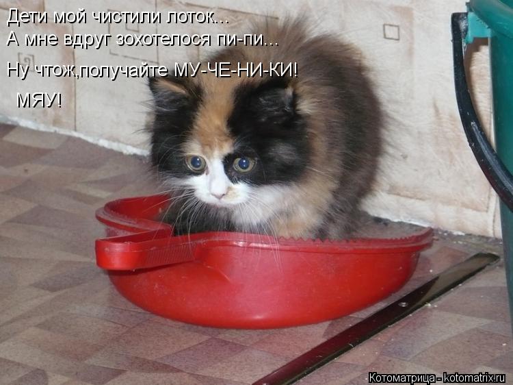 Дети мой чистили лоток... А мне вдруг зохотелося пи-пи... Ну чтож, получайте МУ-ЧЕ-НИ-КИ! МЯУ!... Котоматрица: Дети мой чистили лоток... А мне вдруг зохотелося пи-пи... Ну чтож, получайте МУ-ЧЕ-НИ-КИ! МЯУ!