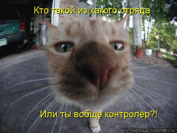 Кто такой из какого отряда Или ты вобще контролёр?!... Котоматрица: Кто такой из какого отряда Или ты вобще контролёр?!