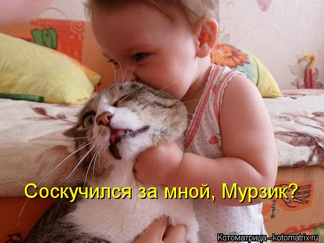 Соскучился за мной, Мурзик?... Котоматрица: Соскучился за мной, Мурзик?