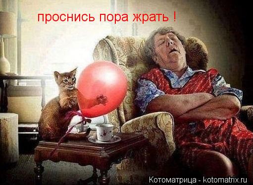 проснись пора жрать !... Котоматрица: проснись пора жрать !