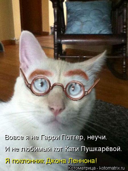 Вовсе я не Гарри Поттер, неучи. И не любимый кот Кати Пушкарёвой. Я поклонник Джона Леннона!... Котоматрица: Вовсе я не Гарри Поттер, неучи. И не любимый кот Кати Пушкарёвой. Я поклонник Джона Леннона!
