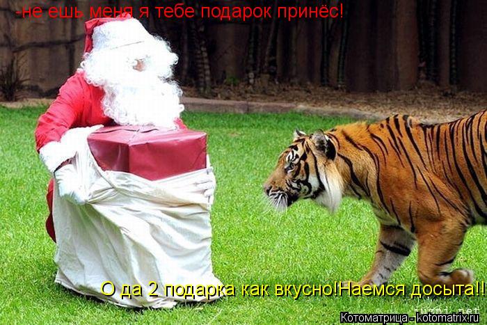-не ешь меня я тебе подарок принёс! О да 2 подарка как вкусно!Наемся досыта!!!... Котоматрица: -не ешь меня я тебе подарок принёс! О да 2 подарка как вкусно!Наемся досыта!!!