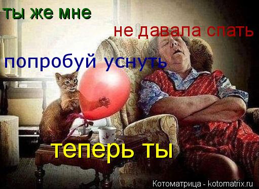 ты же мне не давала спать попробуй уснуть теперь ты... Котоматрица: ты же мне не давала спать попробуй уснуть теперь ты