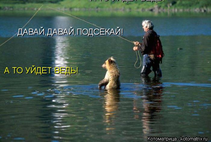 ДАВАЙ,ДАВАЙ,ПОДСЕКАЙ! А ТО УЙДЕТ ВЕДЬ! А ТО УЙДЕТ ВЕДЬ!... Котоматрица: ДАВАЙ,ДАВАЙ,ПОДСЕКАЙ! А ТО УЙДЕТ ВЕДЬ! А ТО УЙДЕТ ВЕДЬ!