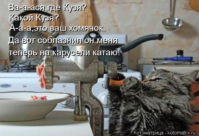 Ва-а-ася,где Кузя? Какой Кузя? А-а-а,это ваш хомячок. Да вот соблазнил он меня теперь на карусели ка... Котоматрица: Ва-а-ася,где Кузя? Какой Кузя? А-а-а,это ваш хомячок. Да вот соблазнил он меня теперь на карусели катаю!