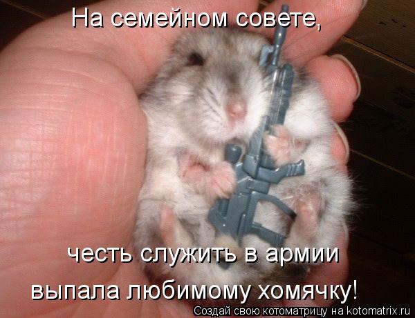 На семейном совете, честь служить в армии выпала любимому хомячку!... Котоматрица: На семейном совете, честь служить в армии выпала любимому хомячку!