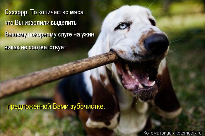 Сэээррр. То количество мяса, что Вы изволили выделить Вашему покорному слуге на ужин никак не соотве... Котоматрица: Сэээррр. То количество мяса, что Вы изволили выделить Вашему покорному слуге на ужин никак не соответствует предложенной Вами зубочистке.