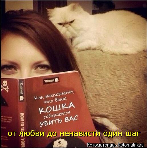 от любви до ненависти один шаг... Котоматрица: от любви до ненависти один шаг