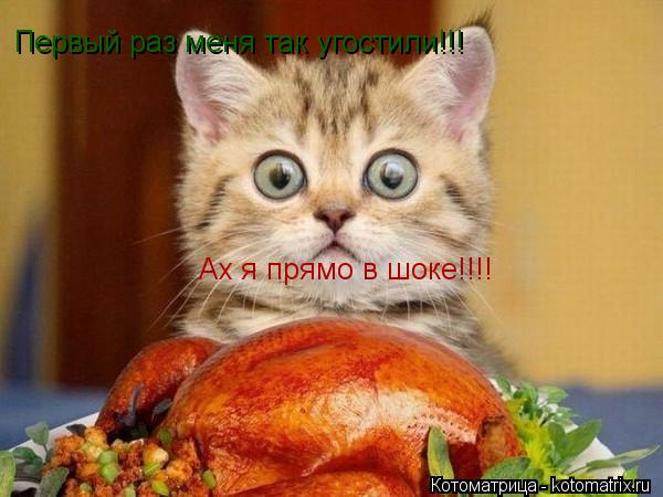 Первый раз меня так угостили!!! Ах я прямо в шоке!!!!... Котоматрица: Первый раз меня так угостили!!! Ах я прямо в шоке!!!!