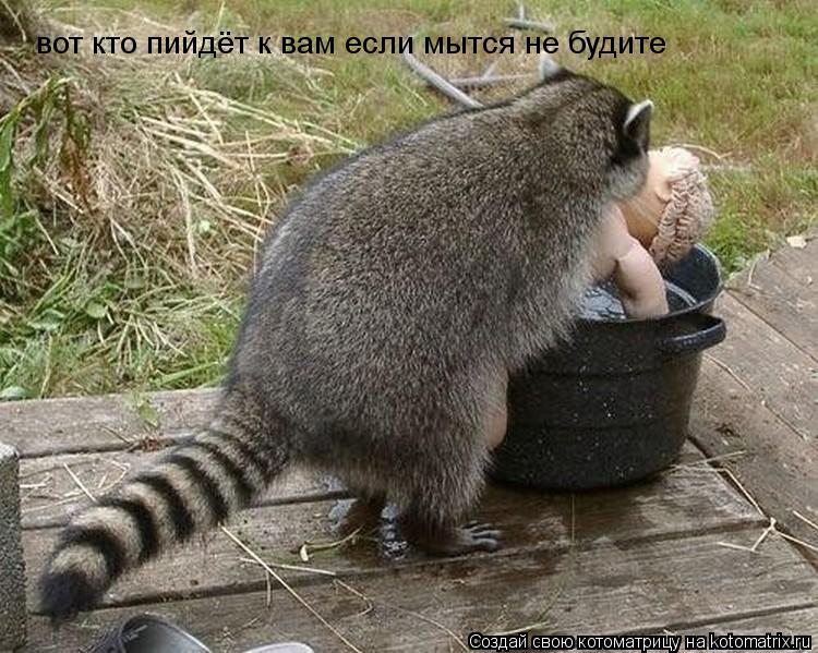 вот кто пийдёт к вам если мытся не будите... Котоматрица: вот кто пийдёт к вам если мытся не будите