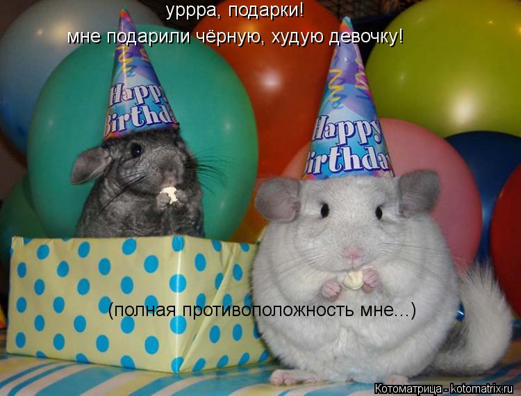 уррра, подарки! мне подарили чёрную, худую девочку! (полная противоположность мне...)... Котоматрица: уррра, подарки! мне подарили чёрную, худую девочку! (полная противоположность мне...)