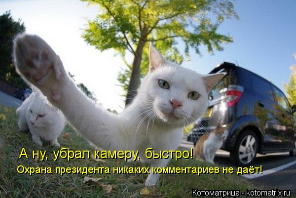А ну, убрал камеру, быстро! Охрана президента никаких комментариев не даёт!... Котоматрица: А ну, убрал камеру, быстро! Охрана президента никаких комментариев не даёт!