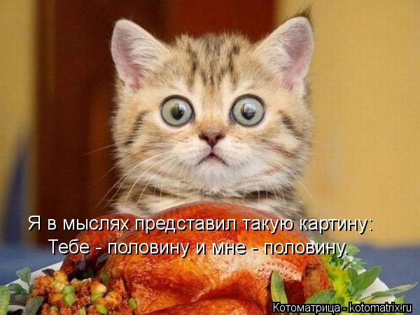 Я в мыслях представил такую картину: Тебе - половину и мне - половину.... Котоматрица: Я в мыслях представил такую картину: Тебе - половину и мне - половину.