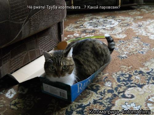 Чё ржёте! Труба коротковата...? Какой паровозик?... Котоматрица: Чё ржёте! Труба коротковата...? Какой паровозик?