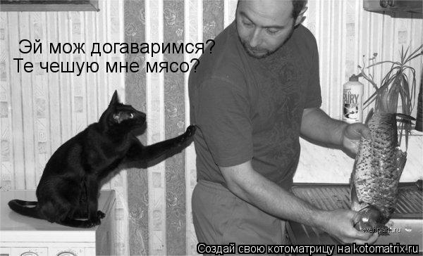 Эй мож догаваримся? Те чешую мне мясо?... Котоматрица: Эй мож догаваримся? Те чешую мне мясо?