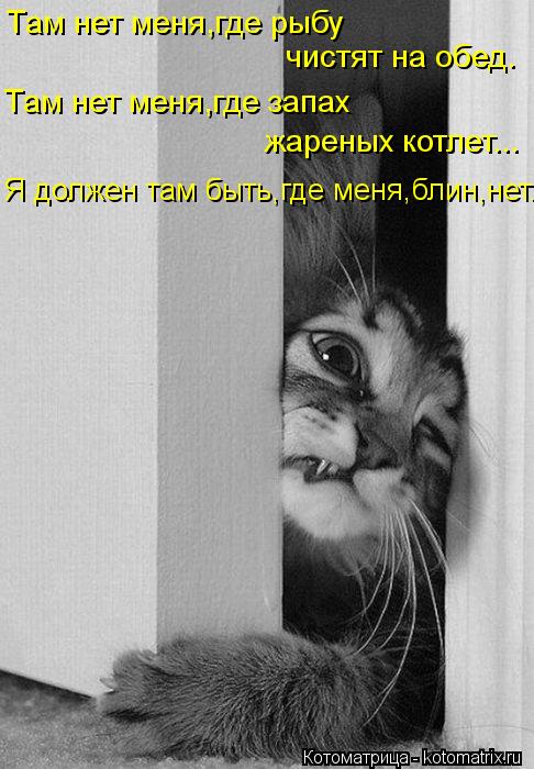 Там нет меня,где рыбу чистят на обед. Там нет меня,где запах жареных котлет... Я должен там быть,где... Котоматрица: Там нет меня,где рыбу чистят на обед. Там нет меня,где запах жареных котлет... Я должен там быть,где меня,блин,нет.