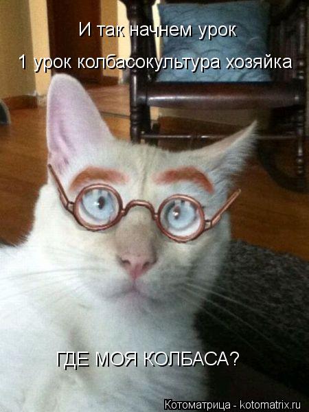 И так начнем урок ГДЕ МОЯ КОЛБАСА? 1 урок колбасокультура хозяйка... Котоматрица: И так начнем урок ГДЕ МОЯ КОЛБАСА? 1 урок колбасокультура хозяйка