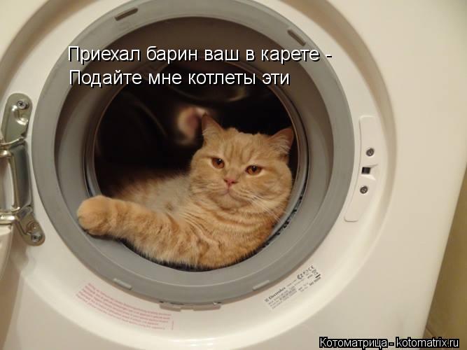 Приехал барин ваш в карете - Подайте мне котлеты эти... Котоматрица: Приехал барин ваш в карете - Подайте мне котлеты эти