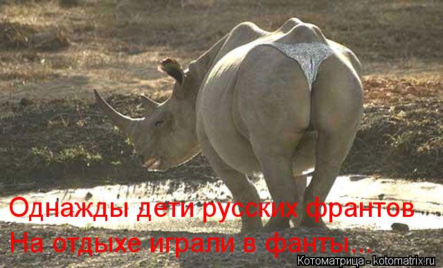 Однажды дети русских франтов На отдыхе играли в фанты...... Котоматрица: Однажды дети русских франтов На отдыхе играли в фанты...