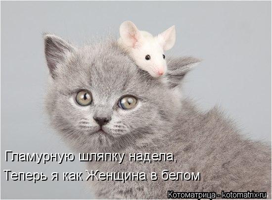 Гламурную шляпку надела, Теперь я как Женщина в белом... Котоматрица: Гламурную шляпку надела, Теперь я как Женщина в белом