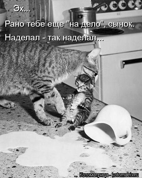 Эх... Рано тебе еще "на дело", сынок. Наделал - так наделал...... Котоматрица: Эх... Рано тебе еще "на дело", сынок. Наделал - так наделал...