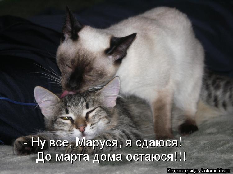 - Ну все, Маруся, я сдаюся! До марта дома остаюся!!!... Котоматрица: - Ну все, Маруся, я сдаюся! До марта дома остаюся!!!