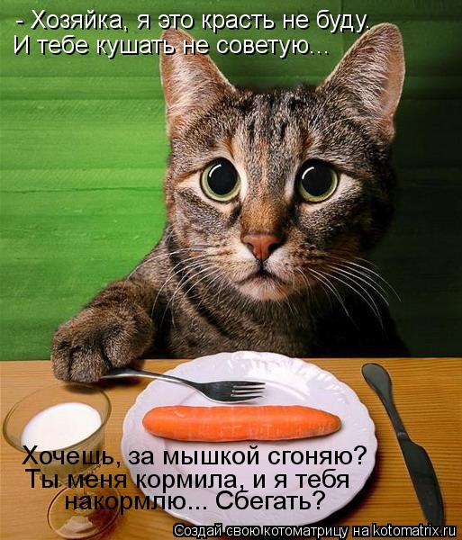 - Хозяйка, я это красть не буду. И тебе кушать не советую... Хочешь, за мышкой сгоняю? Ты меня корми... Котоматрица: - Хозяйка, я это красть не буду. И тебе кушать не советую... Хочешь, за мышкой сгоняю? Ты меня кормила, и я тебя накормлю... Сбегать?