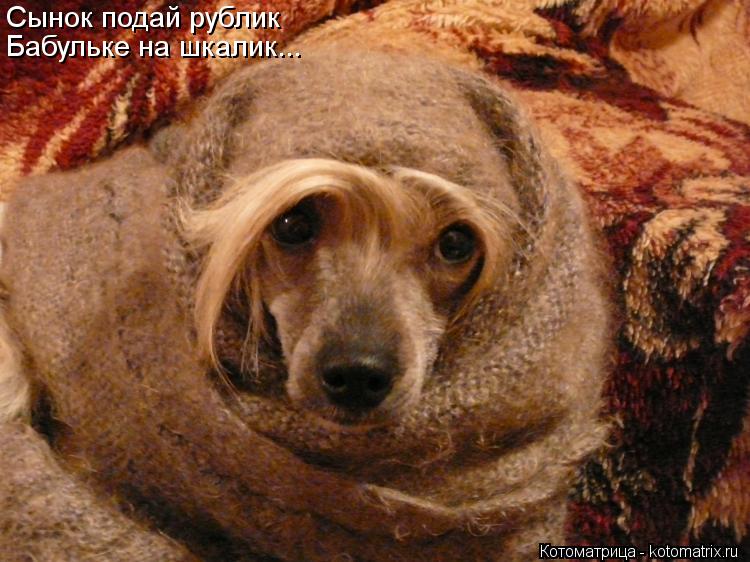 Сынок подай рублик Бабульке на шкалик...... Котоматрица: Сынок подай рублик Бабульке на шкалик...
