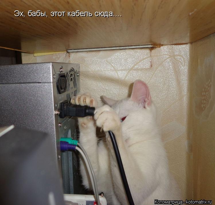 Эх, бабы, этот кабель сюда....... Котоматрица: Эх, бабы, этот кабель сюда....