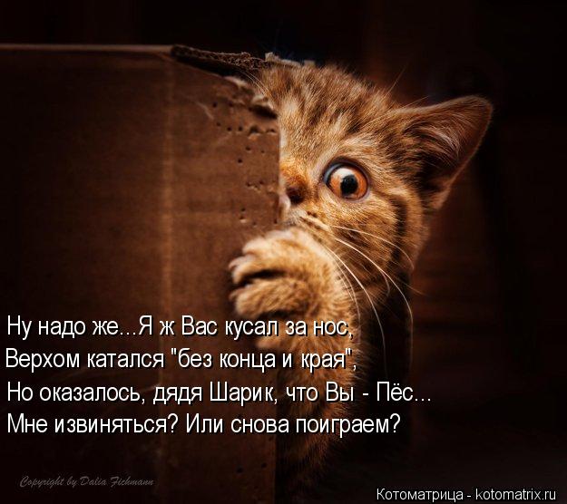 http://kotomatrix.ru/images/lolz/2013/11/04/kotomatritsa_L.jpg