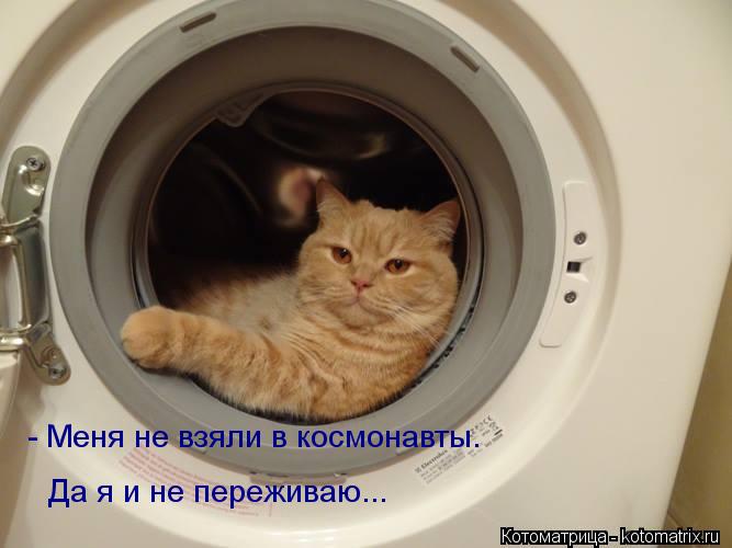 - Меня не взяли в космонавты. Да я и не переживаю...... Котоматрица: - Меня не взяли в космонавты. Да я и не переживаю...