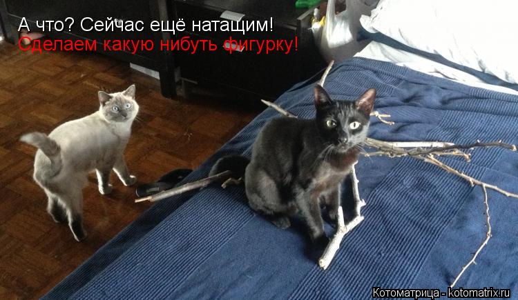 А что? Сейчас ещё натащим! Сделаем какую нибуть фигурку!... Котоматрица: А что? Сейчас ещё натащим! Сделаем какую нибуть фигурку!