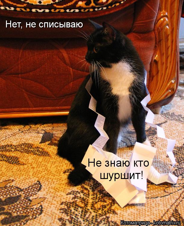 Котоматрица: Нет, не списываю Не знаю кто шуршит!