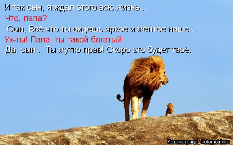 Котоматрица: И так сын, я ждал этого всю жизнь...  Что, папа?  Сын, Всё что ты видешь яркое и жёлтое наше...  Ух-ты! Папа, ты такой богатый! Да, сын... Ты жутко прав