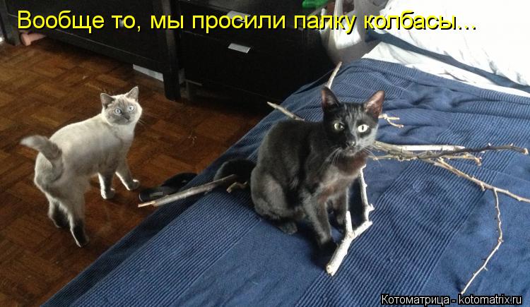 Вообще то, мы просили палку колбасы...... Котоматрица: Вообще то, мы просили палку колбасы...