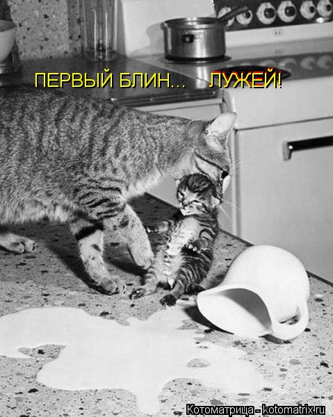 ПЕРВЫЙ БЛИН... ЛУЖЕЙ! ЛУЖЕЙ! ЛУЖЕЙ!... Котоматрица: ПЕРВЫЙ БЛИН... ЛУЖЕЙ! ЛУЖЕЙ! ЛУЖЕЙ!