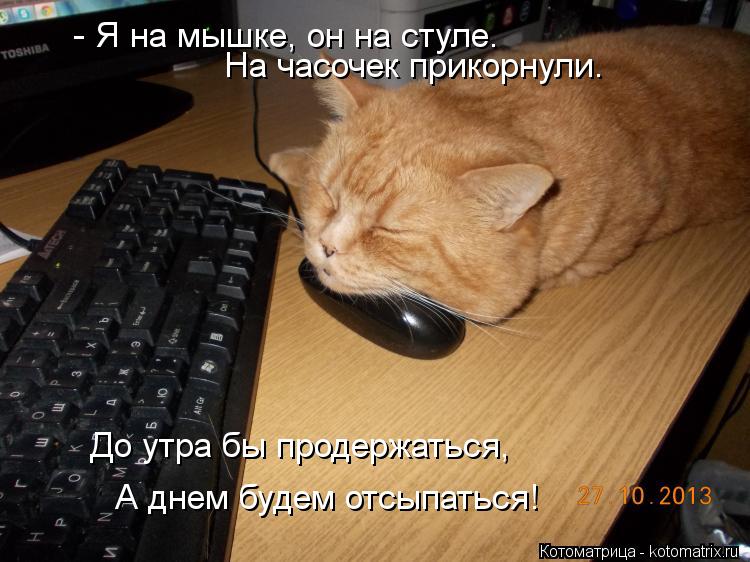 - Я на мышке, он на стуле. На часочек прикорнули. До утра бы продержаться, А днем будем отсыпаться!... Котоматрица: - Я на мышке, он на стуле. На часочек прикорнули. До утра бы продержаться, А днем будем отсыпаться!