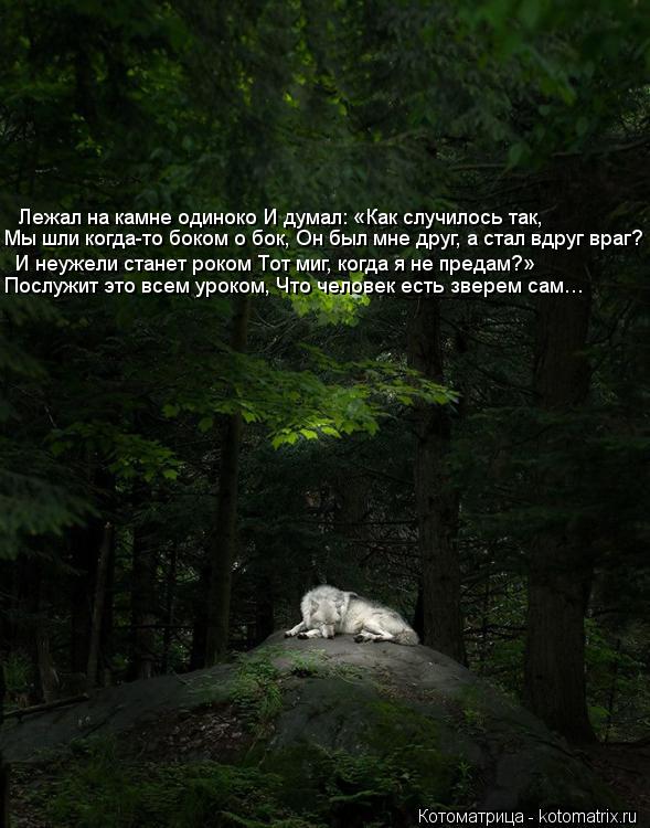 Лежал на камне одиноко И думал: «Как случилось так, Мы шли когда-то боком о бок, Он был мне друг, а с... Котоматрица: Лежал на камне одиноко И думал: «Как случилось так, Мы шли когда-то боком о бок, Он был мне друг, а стал вдруг враг? И неужели станет роком Тот